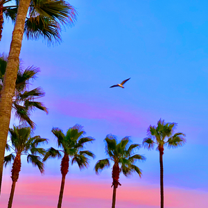 欧美性爱日夜射
