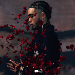 欧美性爱日夜射
