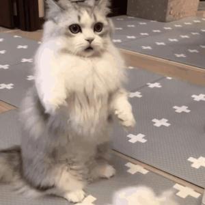 欧美性爱日夜射
