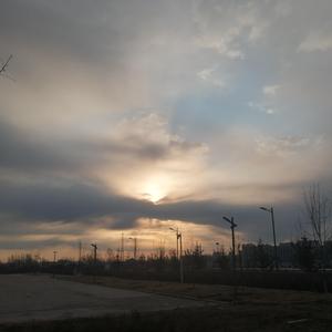 欧美性爱日夜射
