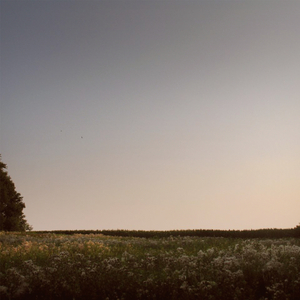 欧美性爱日夜射
